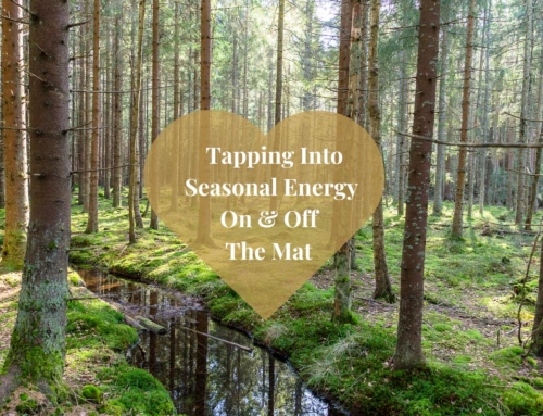 Using Seasonal Energy to Guide Your Yoga and Wellbeing