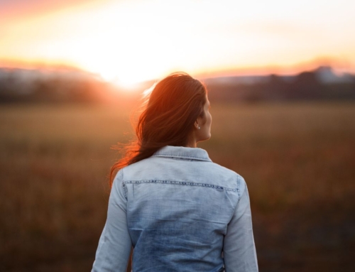 Crossing the Bridge from Autumn to Winter